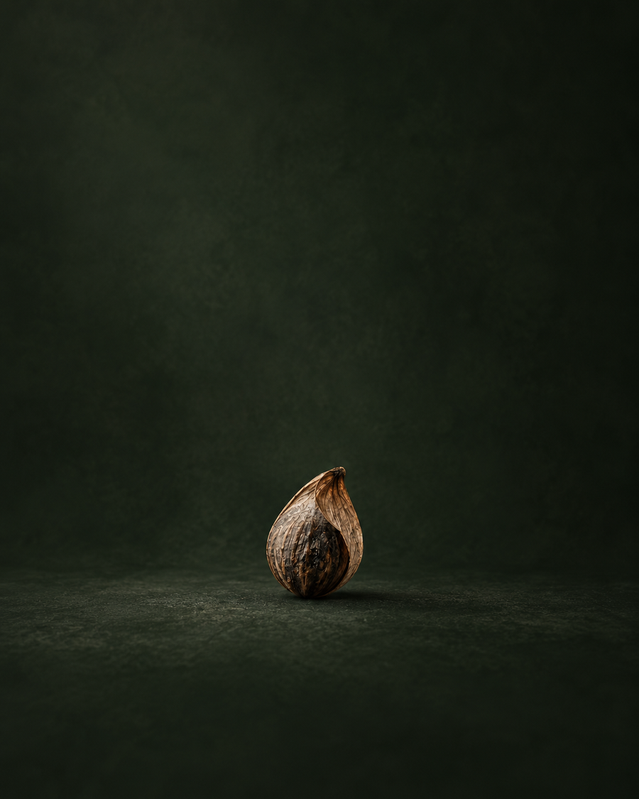 Seeds